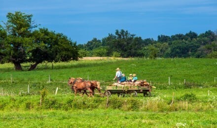Full Day Amish Country Guided Tour